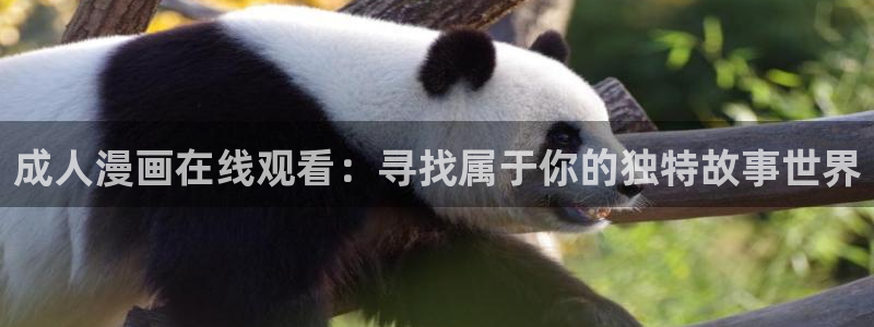 香蕉漫画：成人漫画在线观看：寻找属于你的独特故事世界