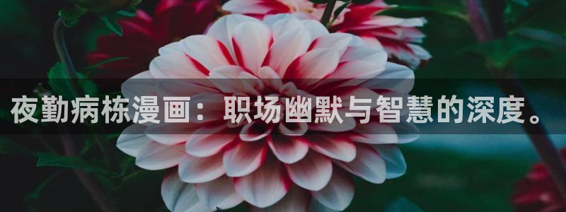 香蕉漫画弹窗入口：夜勤病栋漫画：职场幽默与智慧的深度。