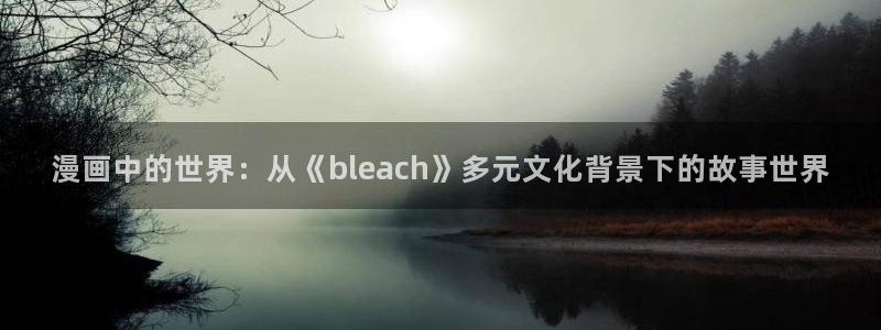 香蕉漫画下拉式免费：漫画中的世界：从《bleach》多元文化背景下的故事世界